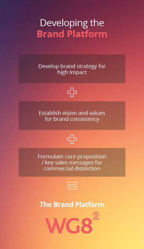Brand Strategy Infographic
