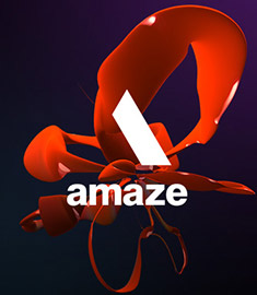 Content - Amaze - Westgate