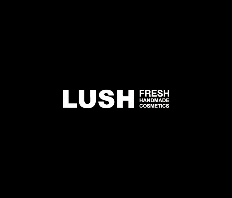 Lush – Best Practice Guide – Lush’s best practices: Aligning strategy and style