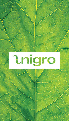 Unigro leaf